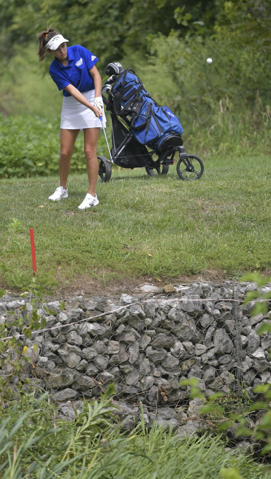 Belleville West Invitational